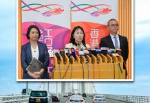 粵車南下議題能刺激立法會選舉投票率?　文：陳思靜