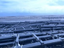 屏東「海上光電」被颱風吹毀     國民黨促查是否有人中飽私囊