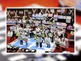 台灣「大罷免」只是政治操作　文：朱家健